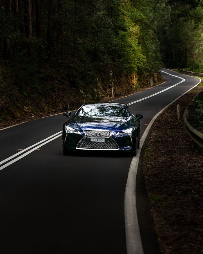 A luxury sports car drives through a winding forest road in Sydney, showcasing speed and elegance.